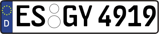 ES-GY4919