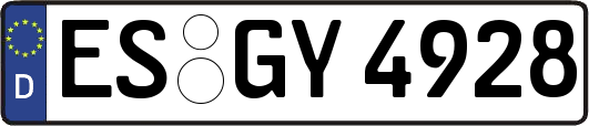 ES-GY4928