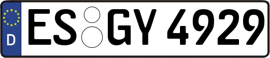 ES-GY4929