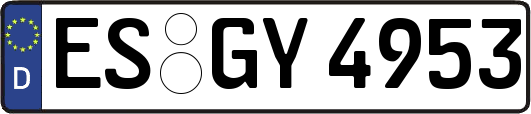 ES-GY4953
