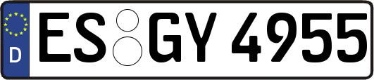 ES-GY4955