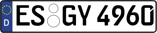 ES-GY4960