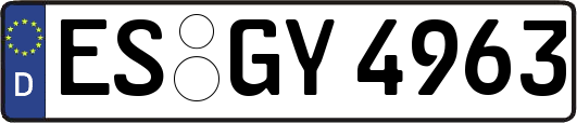 ES-GY4963
