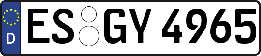 ES-GY4965