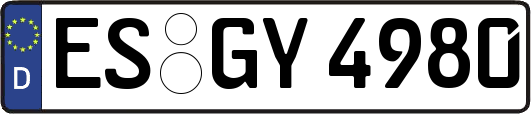 ES-GY4980