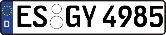ES-GY4985