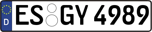 ES-GY4989