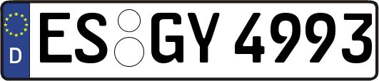 ES-GY4993