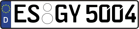 ES-GY5004