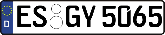 ES-GY5065