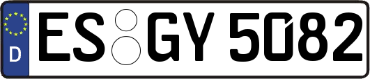 ES-GY5082