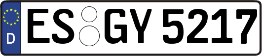 ES-GY5217