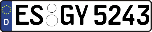 ES-GY5243