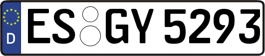 ES-GY5293