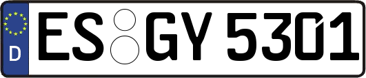 ES-GY5301