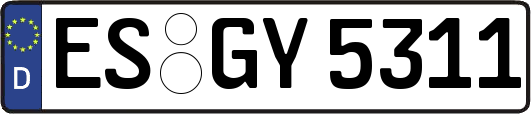 ES-GY5311