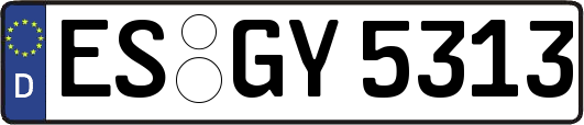 ES-GY5313