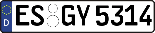 ES-GY5314