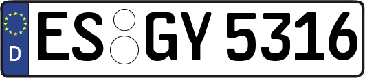 ES-GY5316