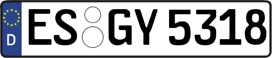 ES-GY5318