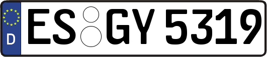 ES-GY5319
