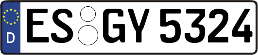 ES-GY5324