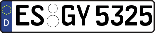 ES-GY5325