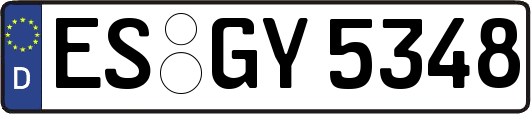 ES-GY5348