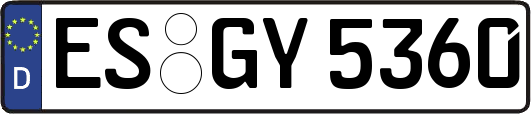 ES-GY5360