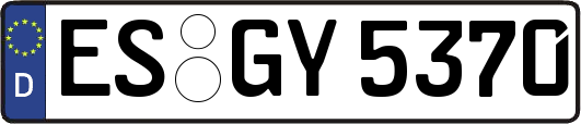 ES-GY5370