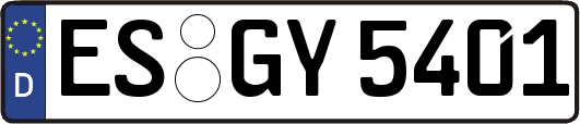 ES-GY5401