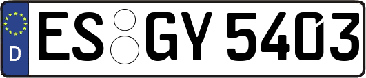 ES-GY5403