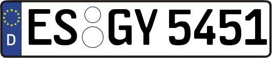 ES-GY5451