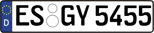 ES-GY5455