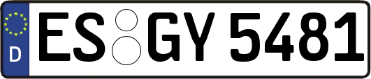 ES-GY5481