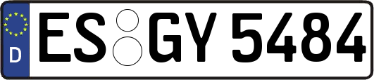 ES-GY5484