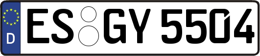 ES-GY5504
