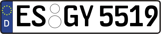 ES-GY5519