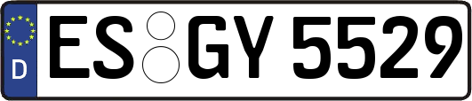 ES-GY5529