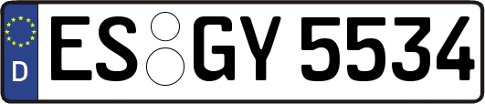 ES-GY5534