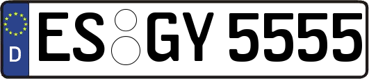 ES-GY5555