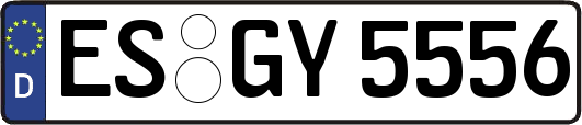 ES-GY5556