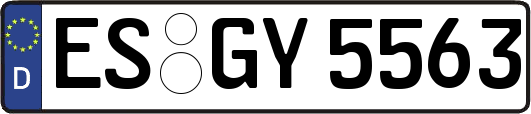ES-GY5563