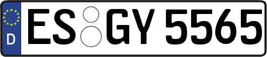 ES-GY5565