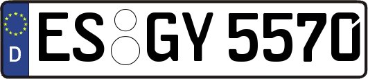 ES-GY5570