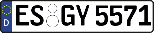 ES-GY5571