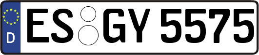 ES-GY5575
