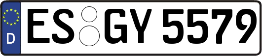 ES-GY5579