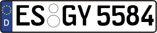 ES-GY5584