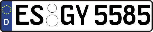 ES-GY5585